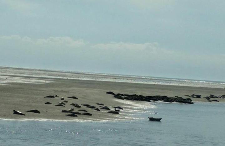 Relais Vacances A La Mer 2 Berck エクステリア 写真